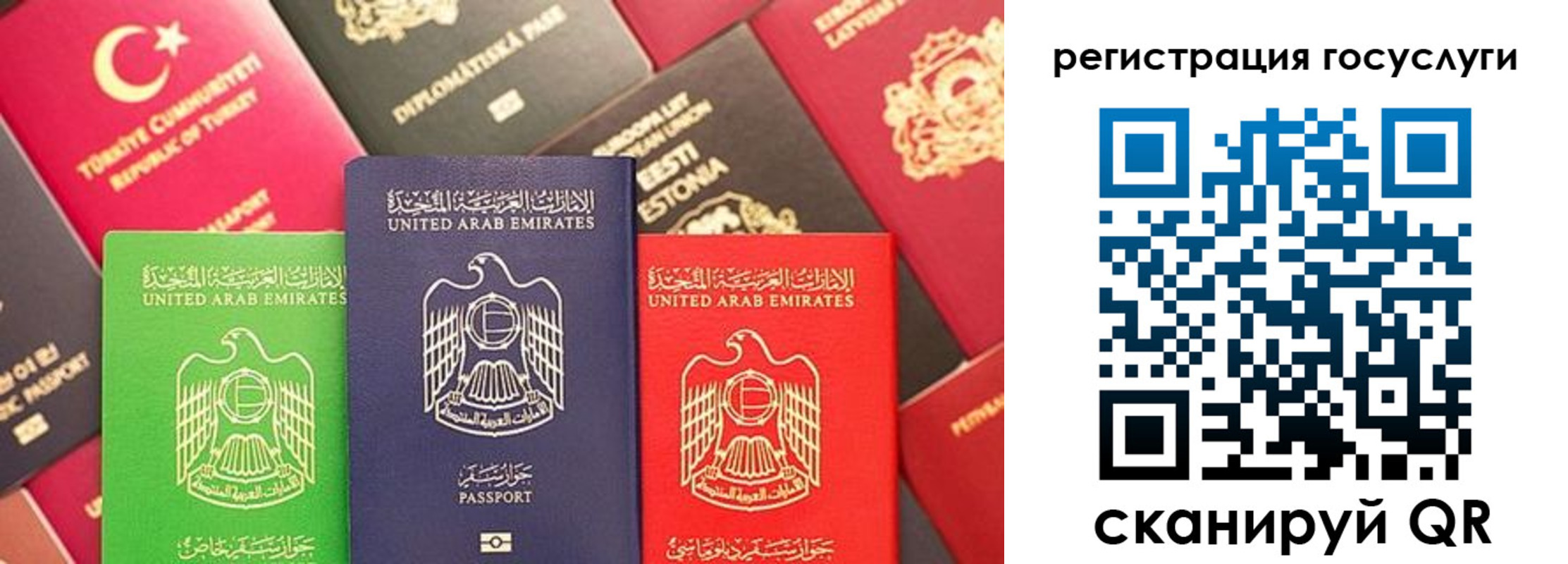 временная регистрация недорого в Выборге